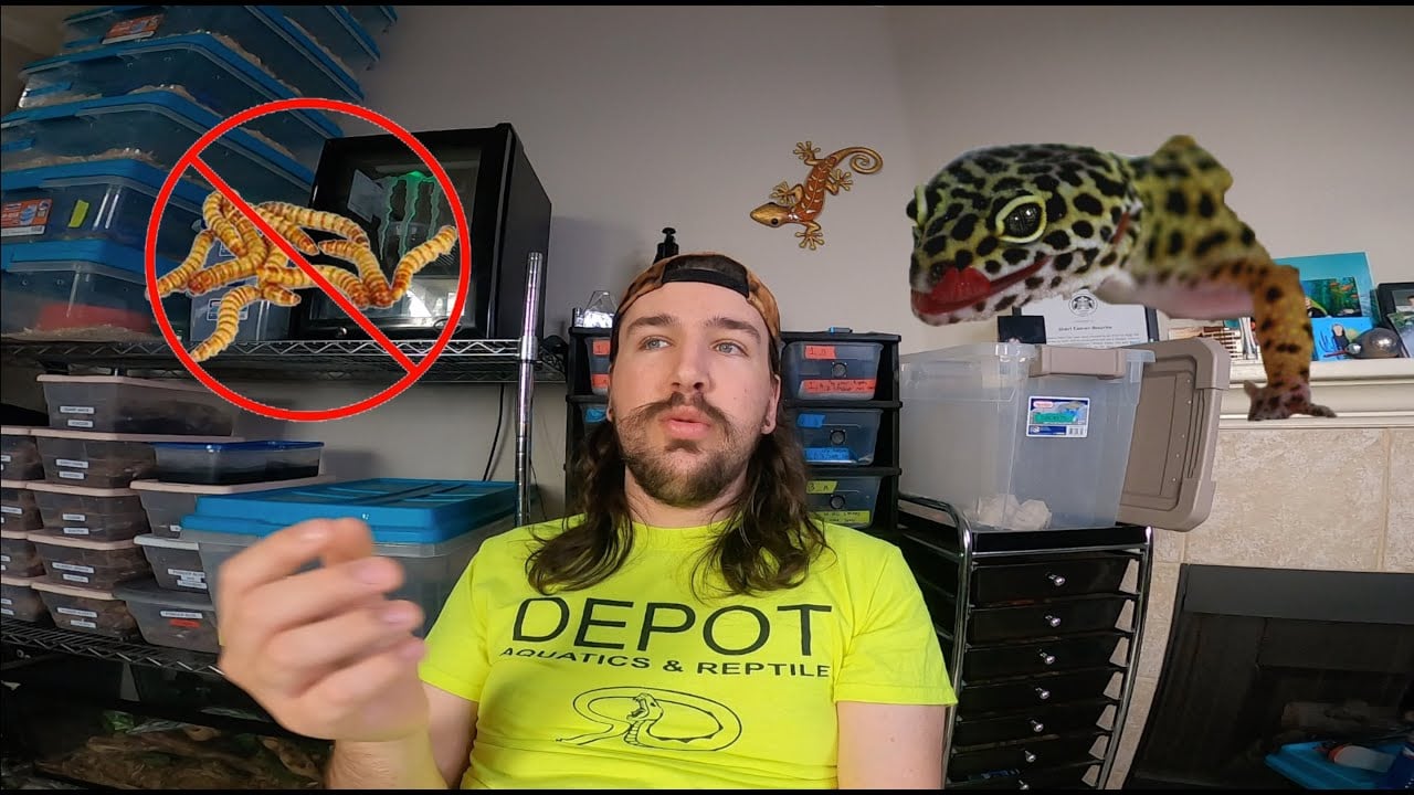 How Long Can Leopard Geckos Go Without Eating?