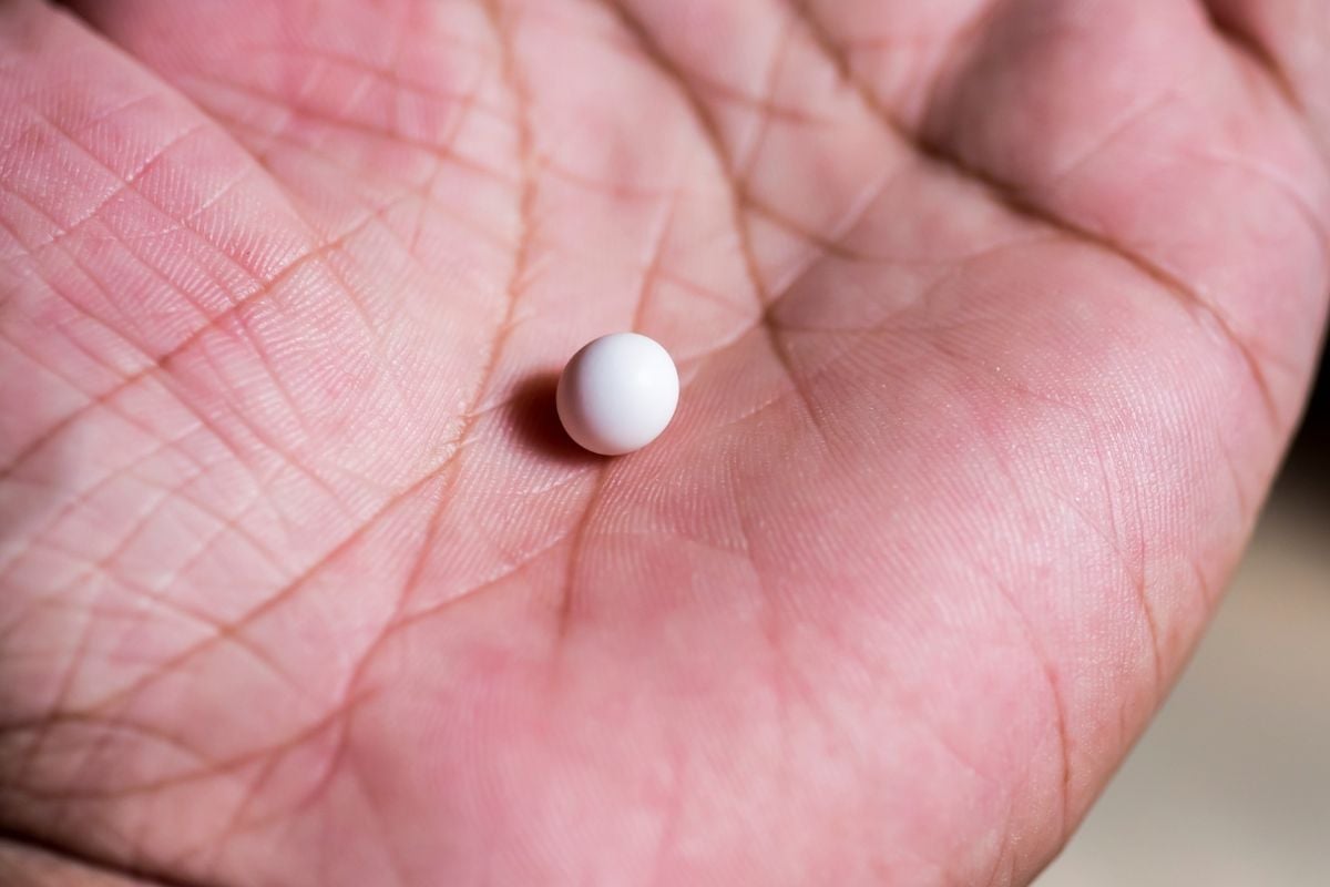 Lizard eggs near the end of incubation showing slight dimpling — a normal sign that the hatchling is absorbing its final yolk reserves